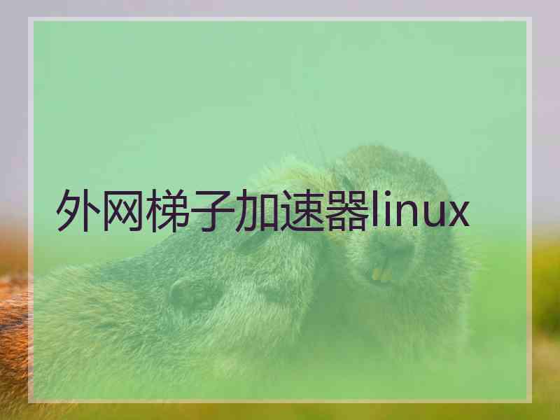 外网梯子加速器linux