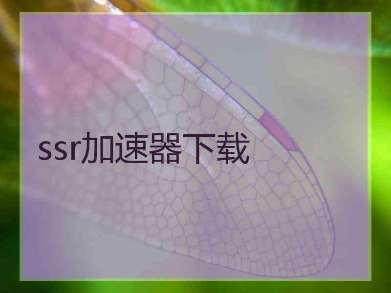 ssr加速器下载