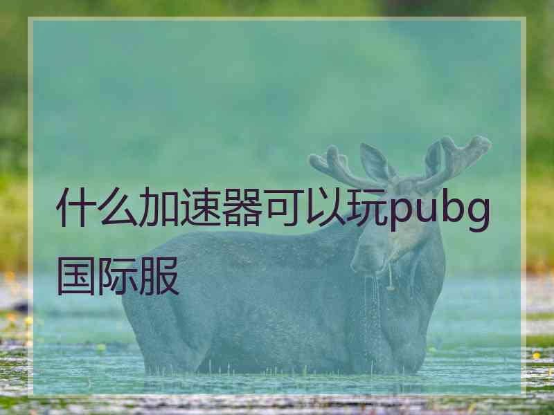 什么加速器可以玩pubg国际服