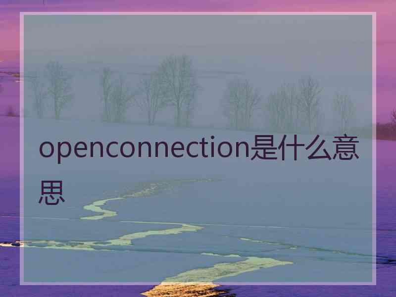 openconnection是什么意思