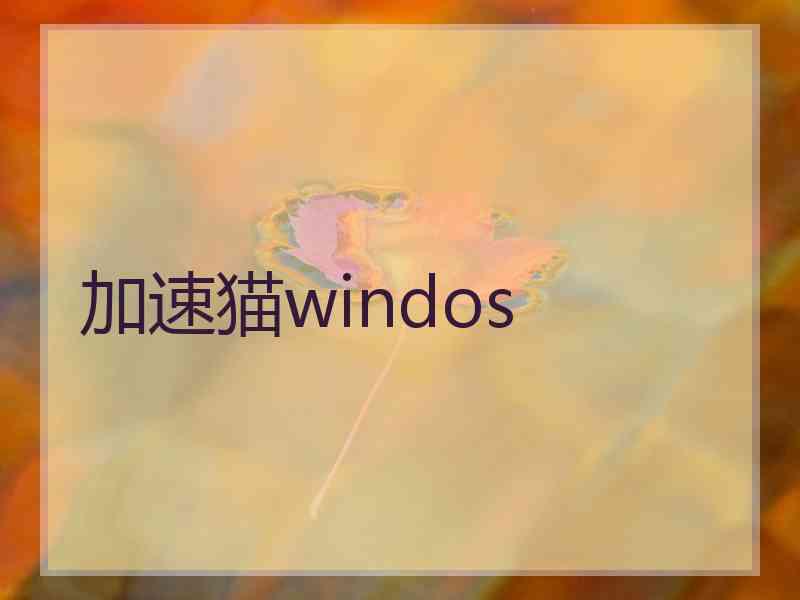 加速猫windos