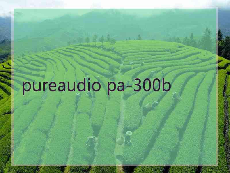 pureaudio pa-300b