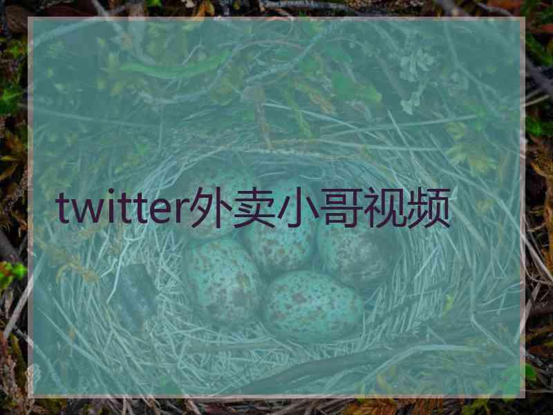 twitter外卖小哥视频