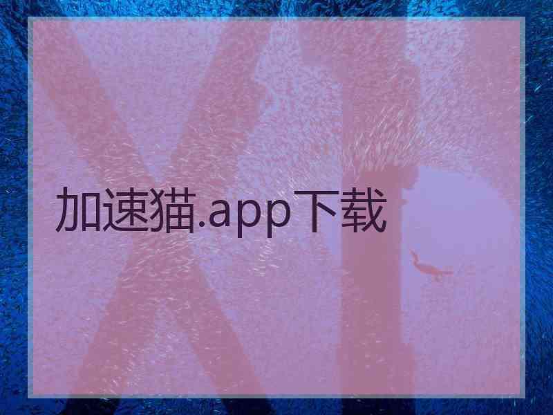 加速猫.app下载