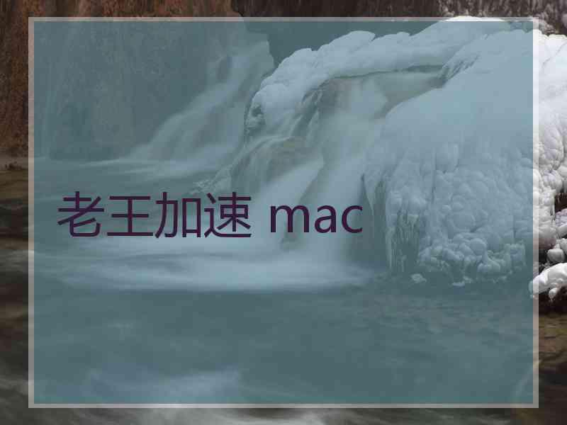 老王加速 mac