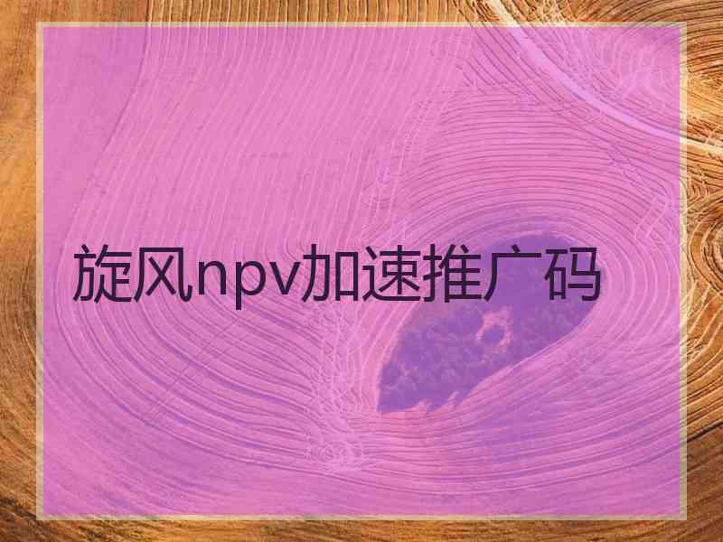 旋风npv加速推广码