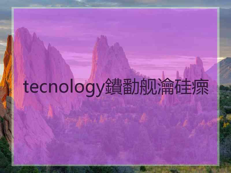 tecnology鐨勫舰瀹硅瘝