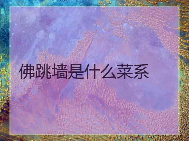 佛跳墙是什么菜系