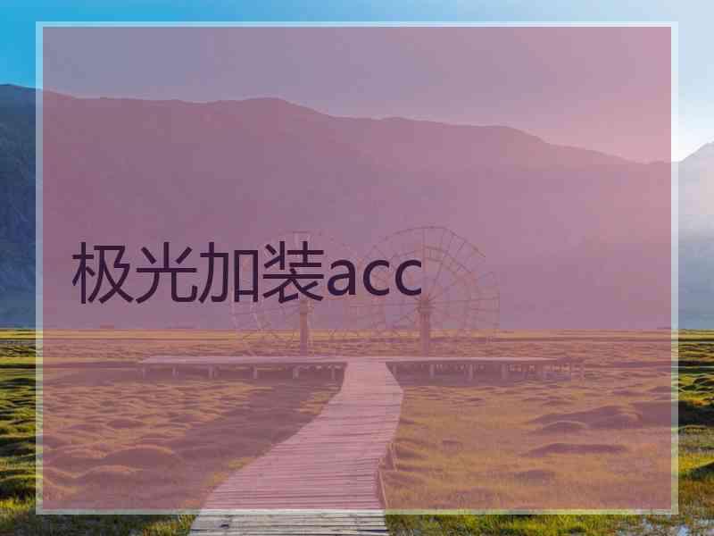 极光加装acc