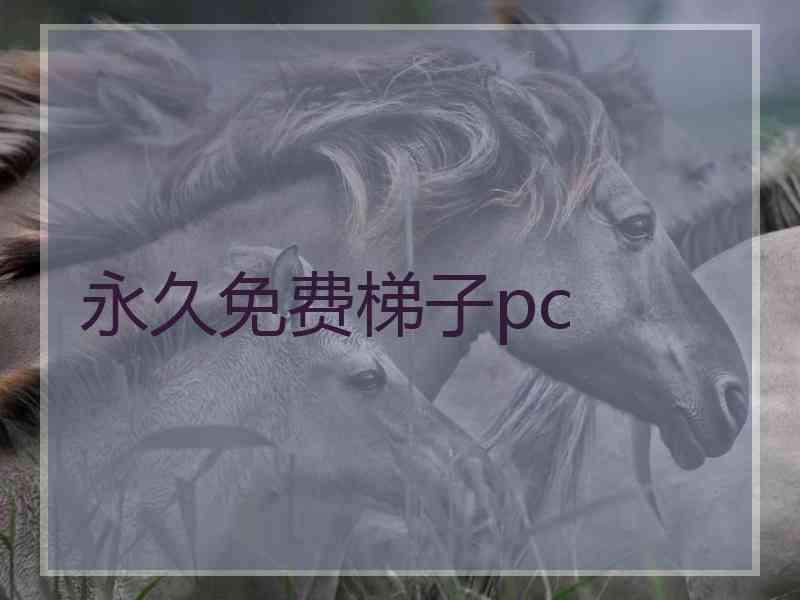 永久免费梯子pc