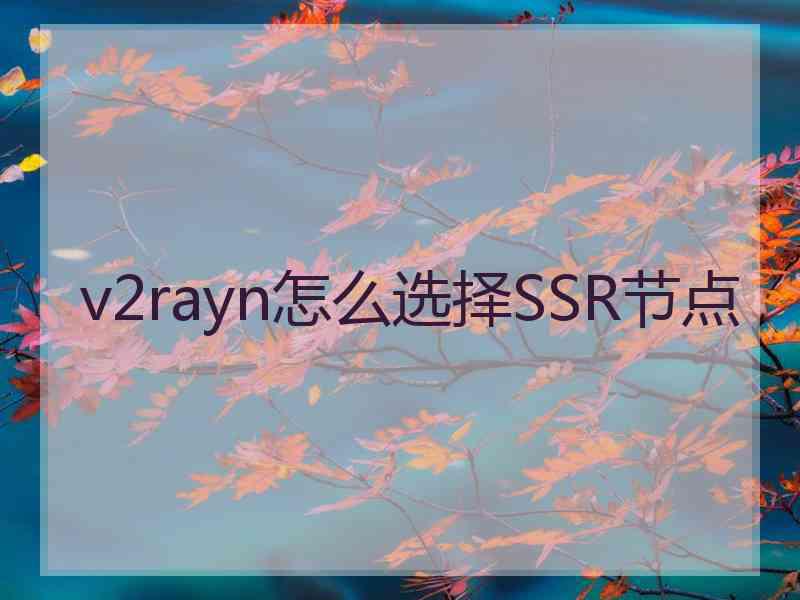 v2rayn怎么选择SSR节点