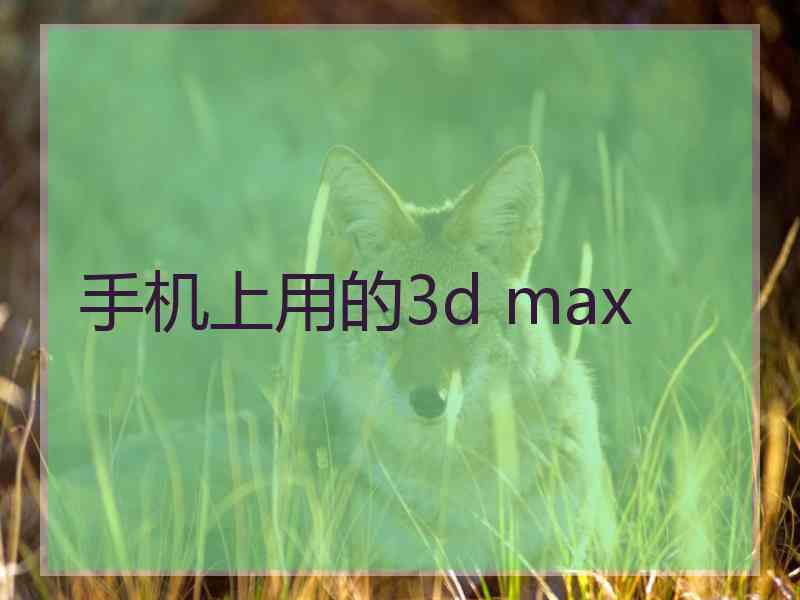 手机上用的3d max