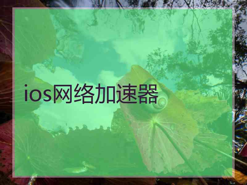 ios网络加速器