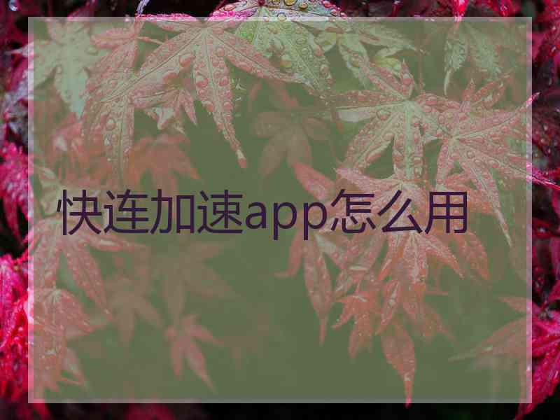 快连加速app怎么用