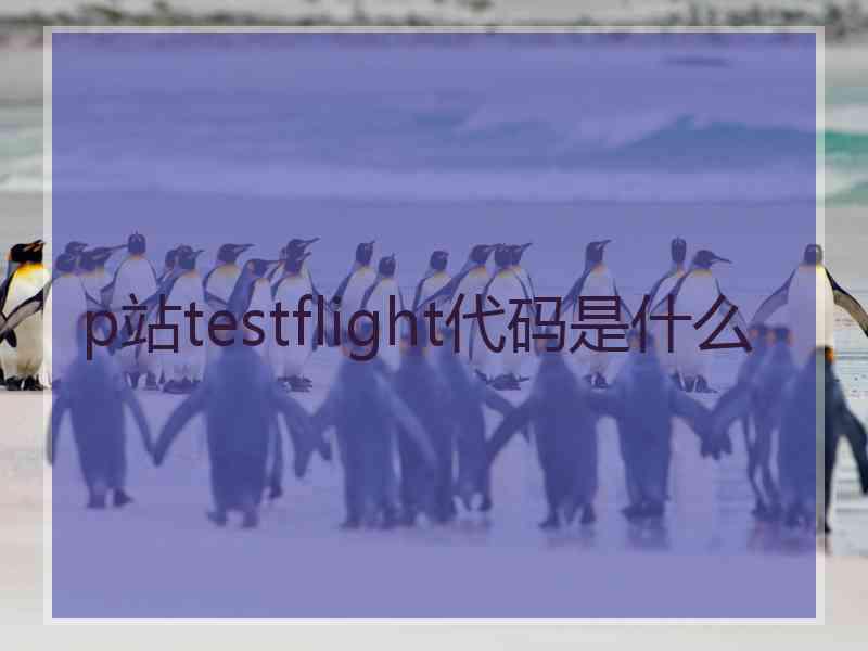 p站testflight代码是什么