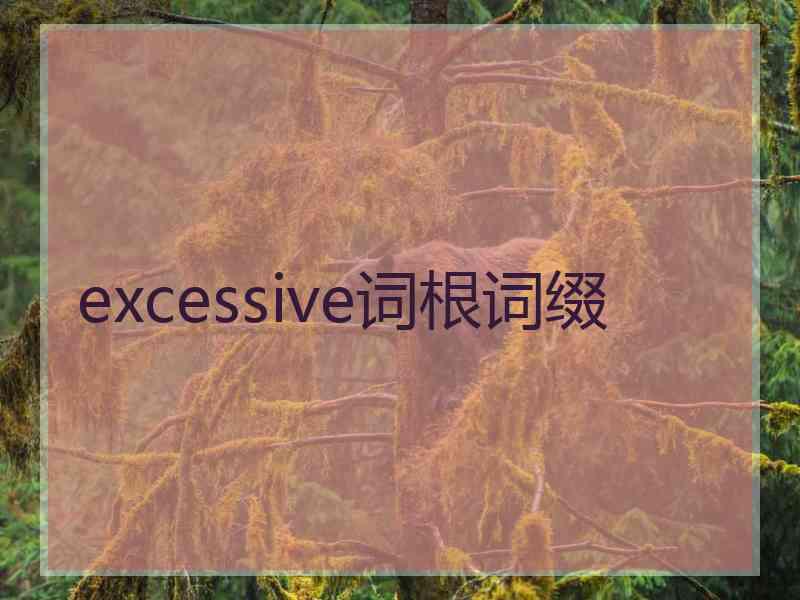 excessive词根词缀