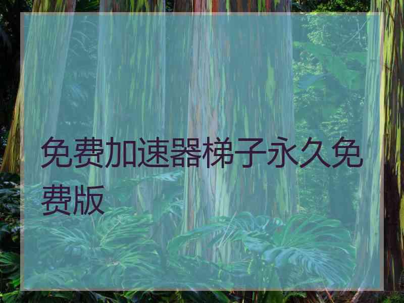 免费加速器梯子永久免费版