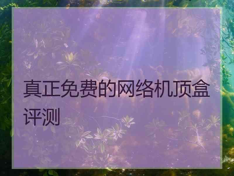 真正免费的网络机顶盒评测