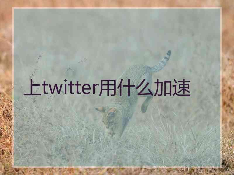 上twitter用什么加速