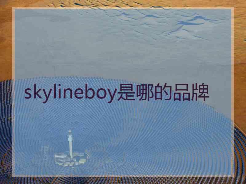 skylineboy是哪的品牌