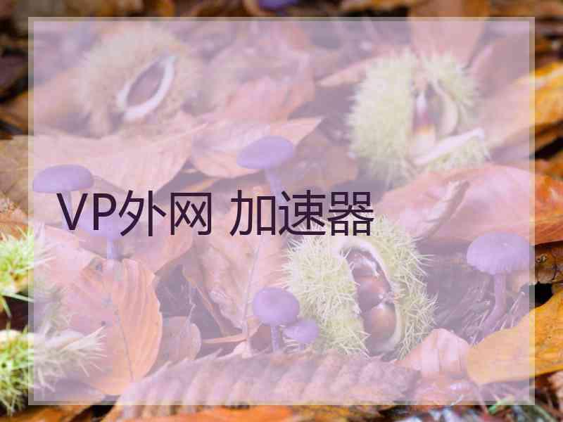 VP外网 加速器