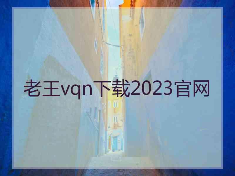 老王vqn下载2023官网