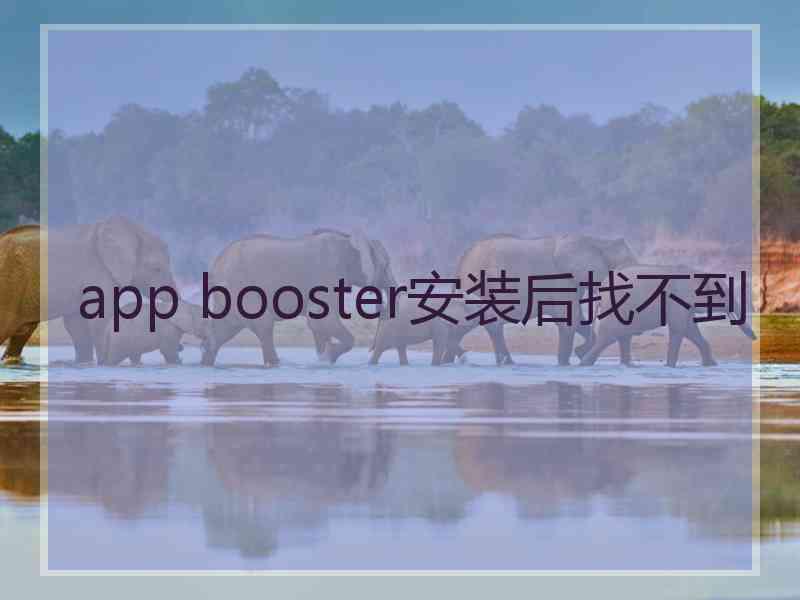 app booster安装后找不到