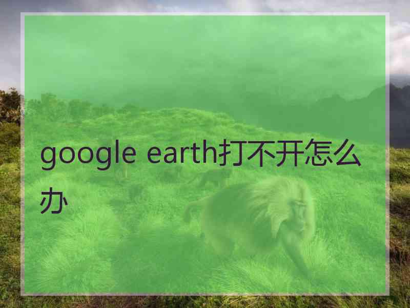 google earth打不开怎么办