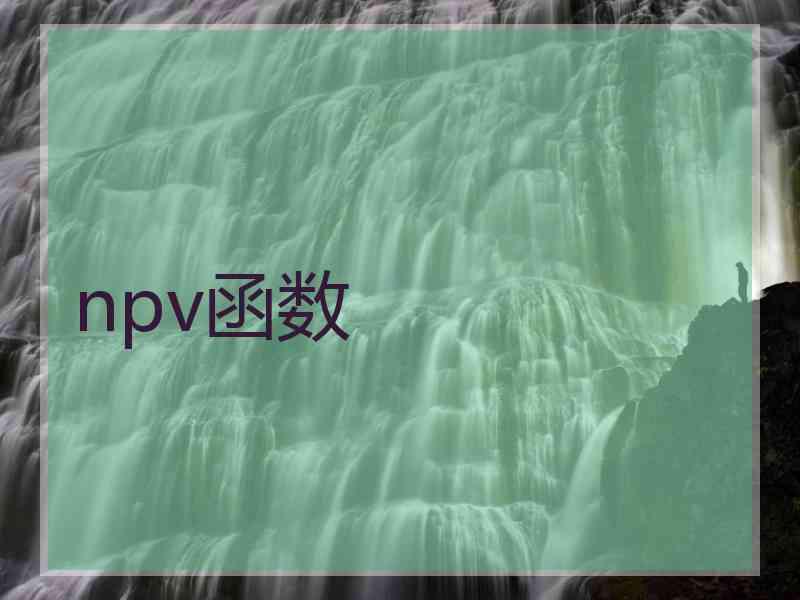 npv函数