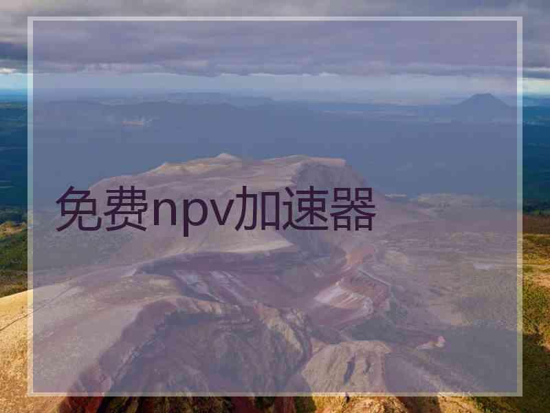 免费npv加速器