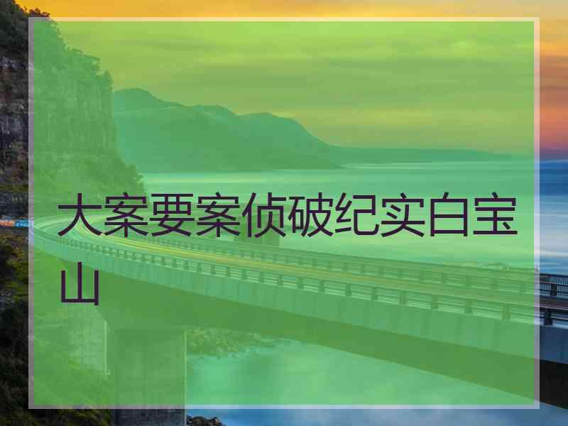 大案要案侦破纪实白宝山