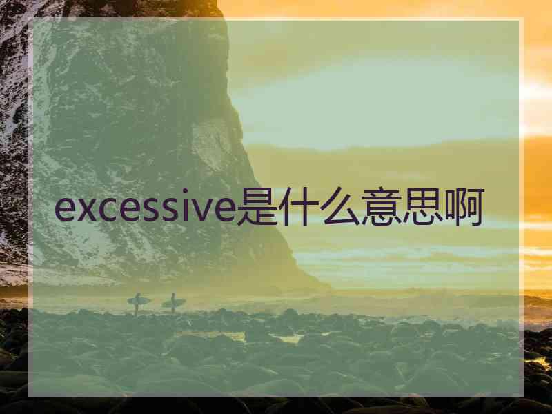 excessive是什么意思啊