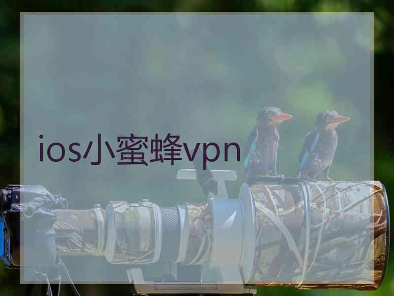 ios小蜜蜂vpn