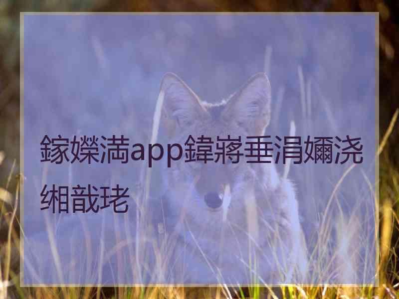 鎵嬫満app鍏嶈垂涓嬭浇缃戠珯