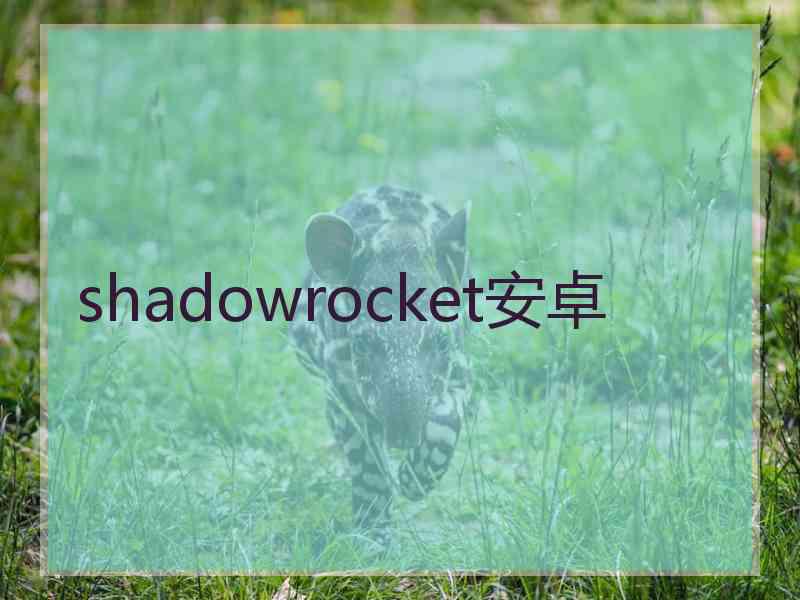 shadowrocket安卓