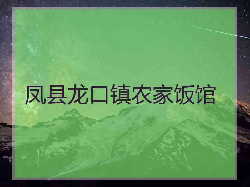 凤县龙口镇农家饭馆