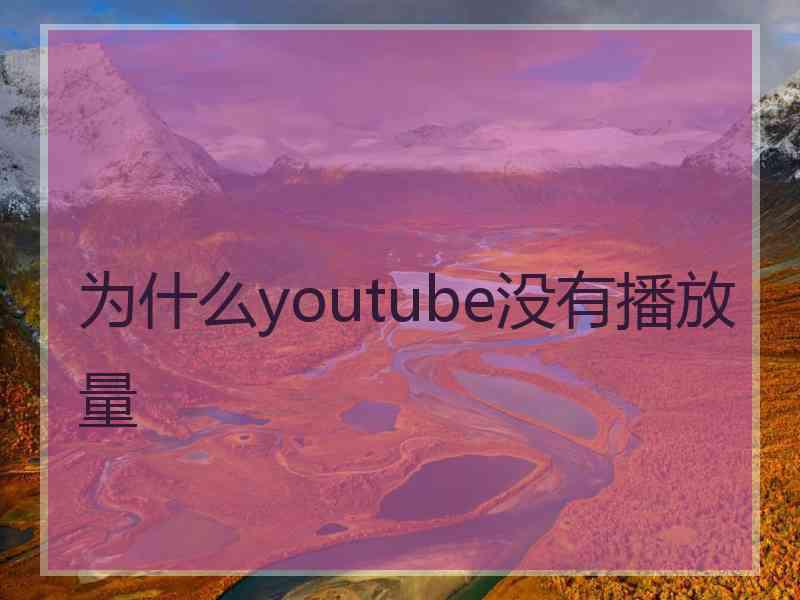 为什么youtube没有播放量