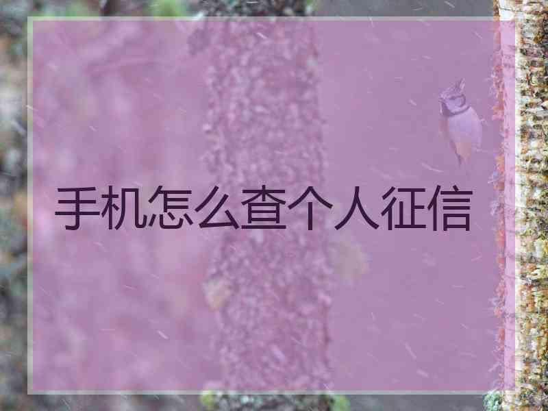 手机怎么查个人征信