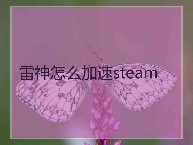 雷神怎么加速steam