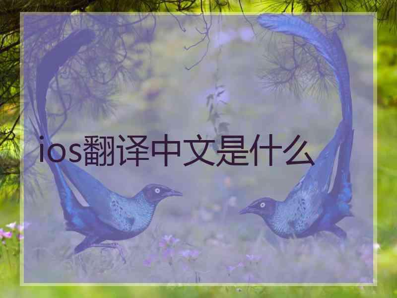 ios翻译中文是什么