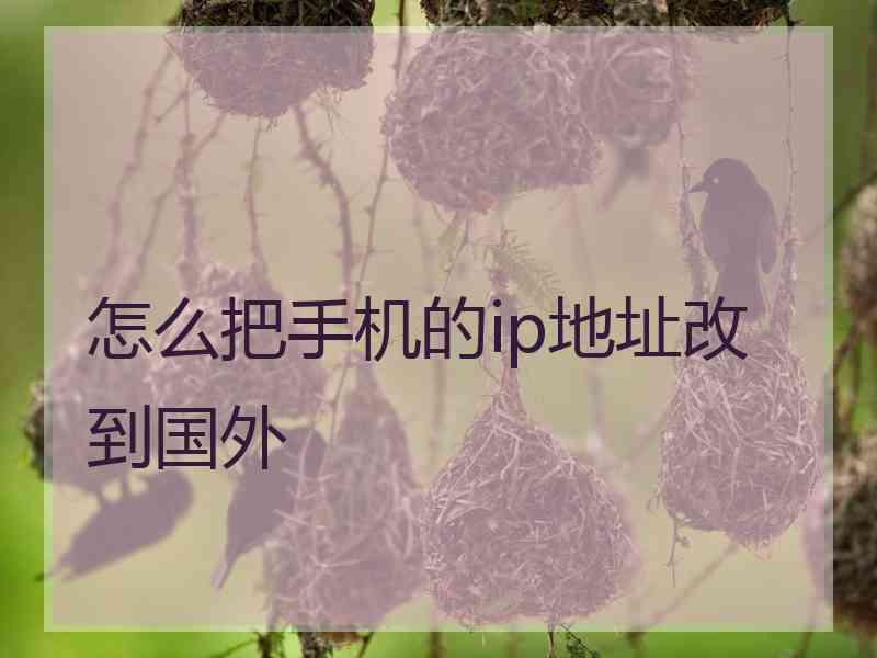 怎么把手机的ip地址改到国外