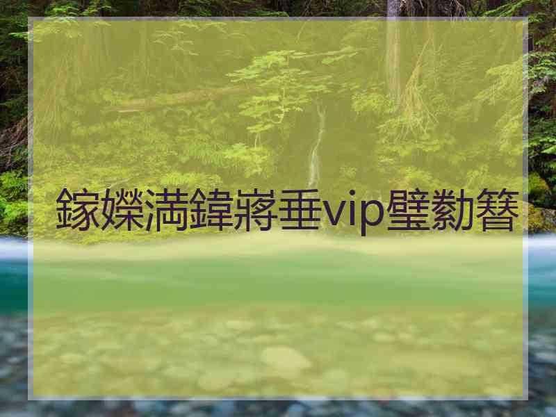 鎵嬫満鍏嶈垂vip璧勬簮