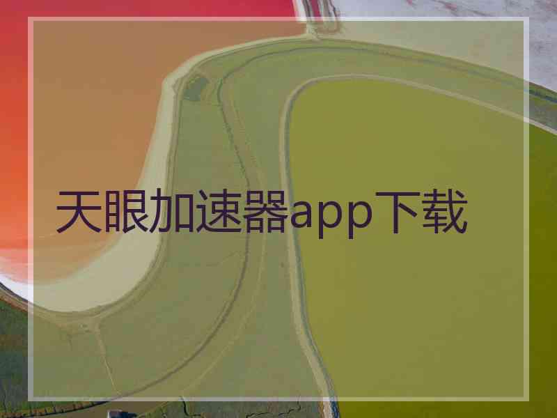 天眼加速器app下载