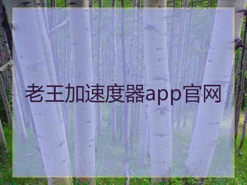 老王加速度器app官网