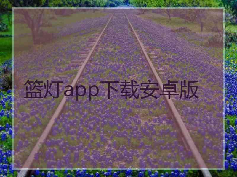 篮灯app下载安卓版