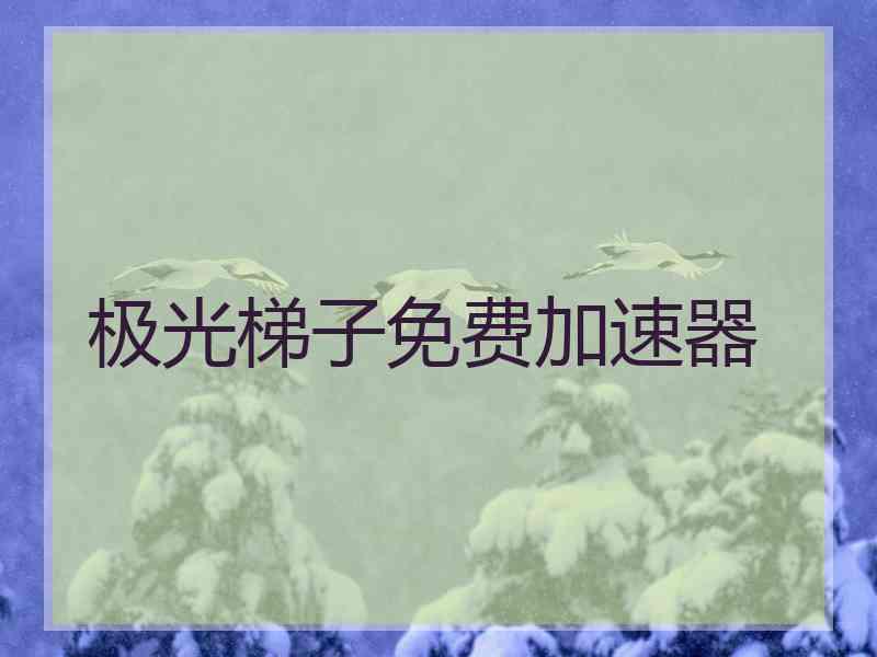 极光梯子免费加速器