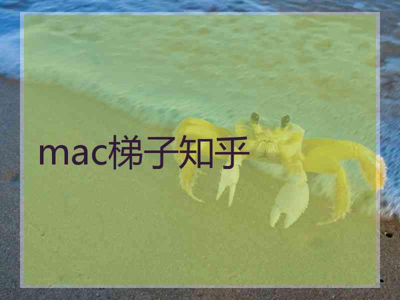 mac梯子知乎