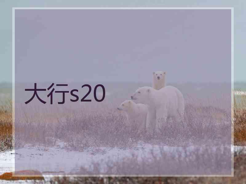 大行s20