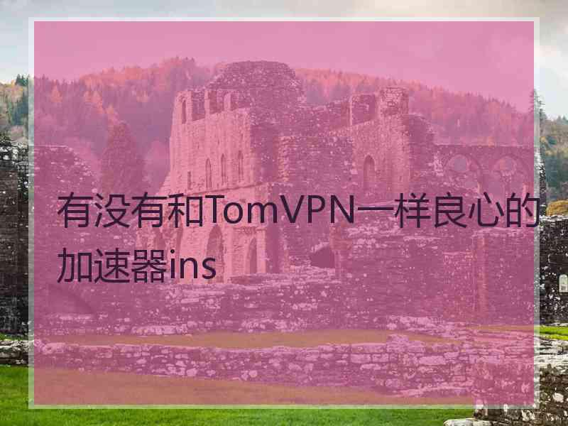 有没有和TomVPN一样良心的加速器ins