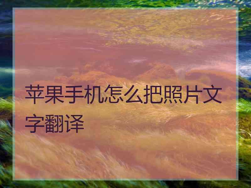 苹果手机怎么把照片文字翻译